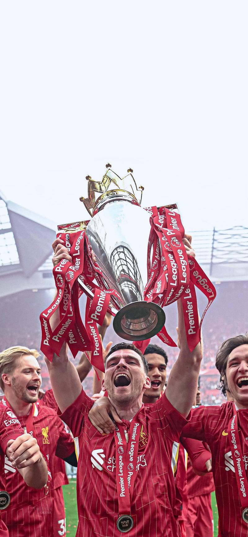 其擅长的 其擅长的